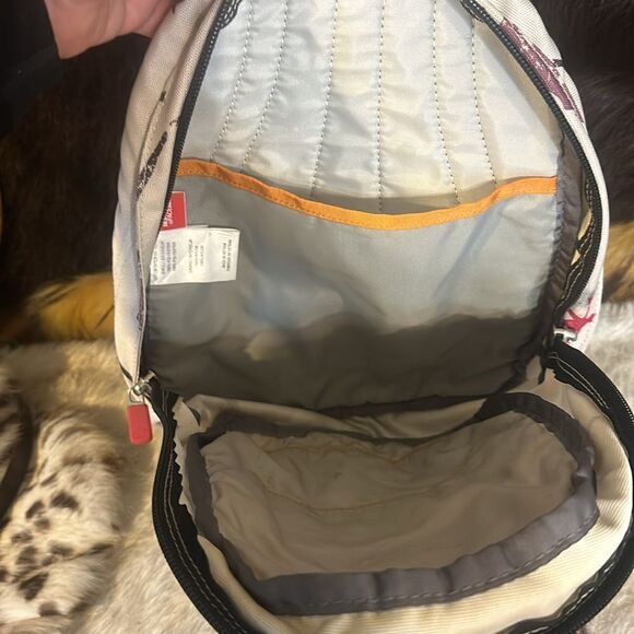 The North face mini backpack (3450)